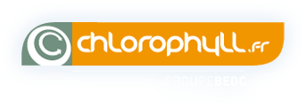 chlorophyll